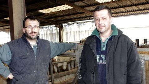 Jean-Luc Beuriat (à gauche), en Gaec avec son frère Franck : « Quand je me suis installé avec mon père, il y avait 35 vaches. Aujourd’hui nous en élevons 220. » © A. Bréhier
